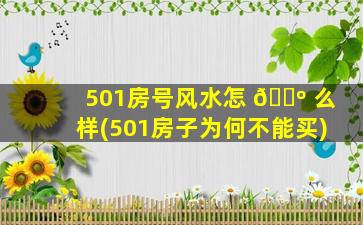 501房号风水怎 🐺 么样(501房子为何不能买)